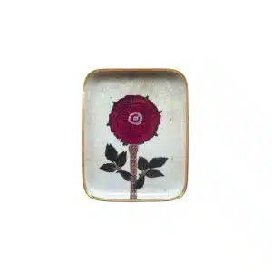 Plateau Pivoine Demi