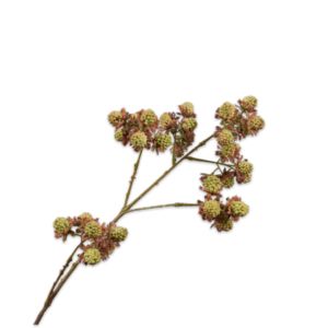 Mures Vertes Plante artificielle