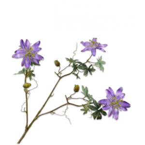 Passiflore plante artificielle