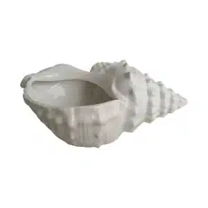 pot conque blanche.