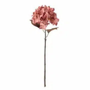 Hydrangea Tige Rose
