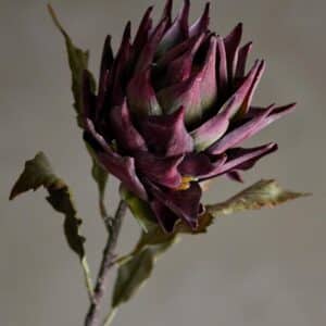 Protea Tige, Violet, Fleurs artificielles ambiance