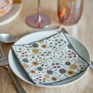 Serviettes en Papier EYDIS