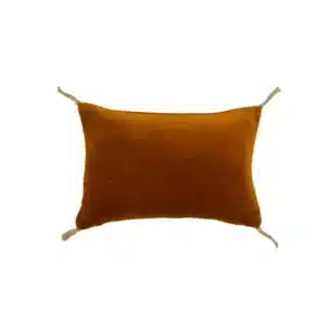 Mini Coussin en Velours Or - Boncoeurs