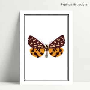 Carte Imprimée Papillon Hippolyte