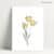 Tulipe Jaune