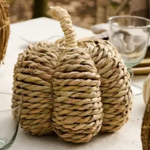 Décoration Citrouille en osier D20