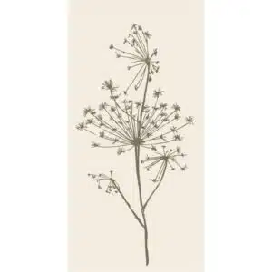 Serviettes en Papier Fleur en ombelle verte IB Laursen