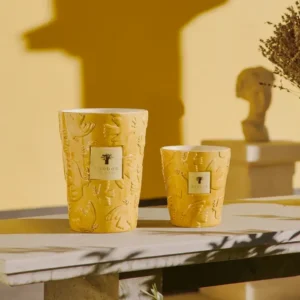 Bougie Baobab Paz Dove