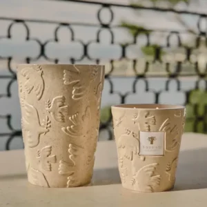 Bougie Baobab Paz Paloma