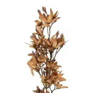 Tige de Clématite Fleur Artificielle Brun