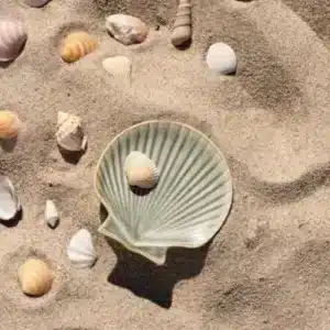 Coupelle en Grès Coquillage - Madam Stoltz