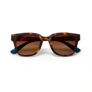Lunettes de Soleil Adulte GIOVANNI Havana