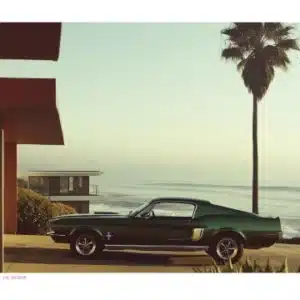 Affiche Parked In Malibu, The Vision | Image Republic