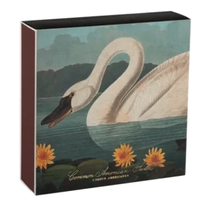Allumettes Common American Swan - Archivist Gallery