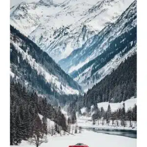 Affiche L'Elan Rouge, The Vision | Image Republic