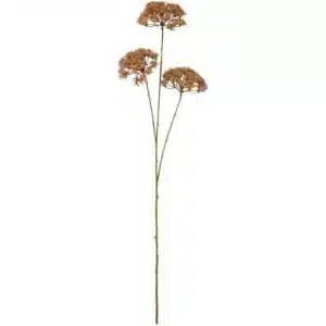 Tige de Fleurs Brunes en Ombelle Artificielle - 3 Fleurs - IB Laursen